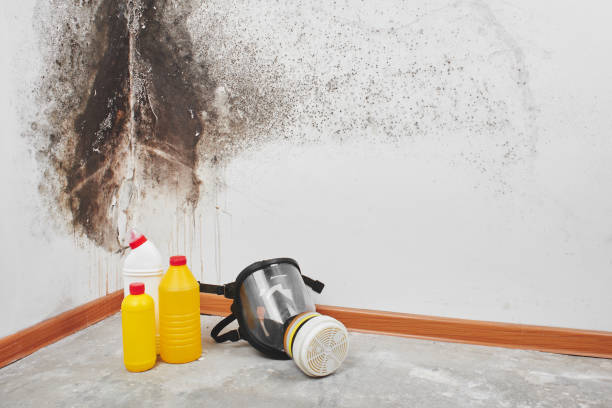 Mount Hermon, VA Mold Remediation Company