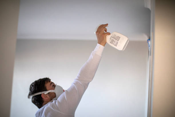 Best Localized Mold Remediation (e.g., coastal areas, humid climates) in Mount Hermon, VA