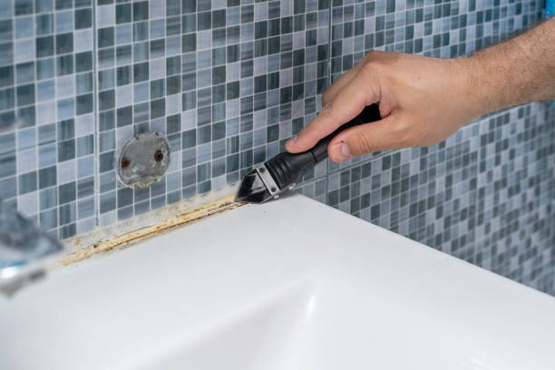 Best Commercial Mold Remediation in Mount Hermon, VA