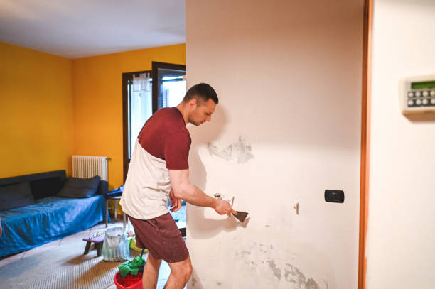 Best Mold Testing and Inspection Services in Mount Hermon, VA